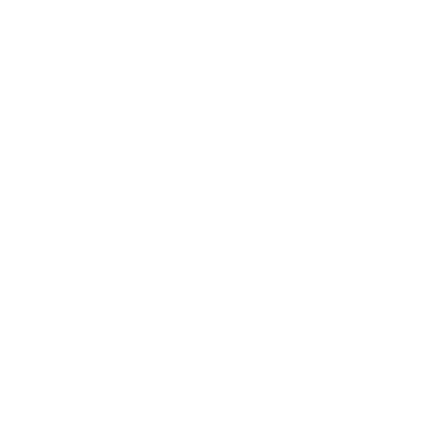 Ro Logo 2 B_White